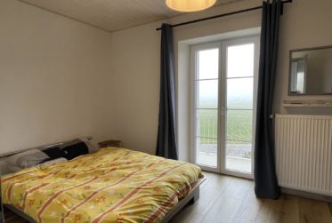 Magnifique maison individuelle de 6.5 pièces entièrement rénovée